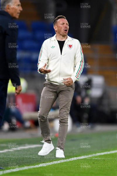 020626 - Wales v Ghana - International Friendly - Craig Bellamy, Wales Manager