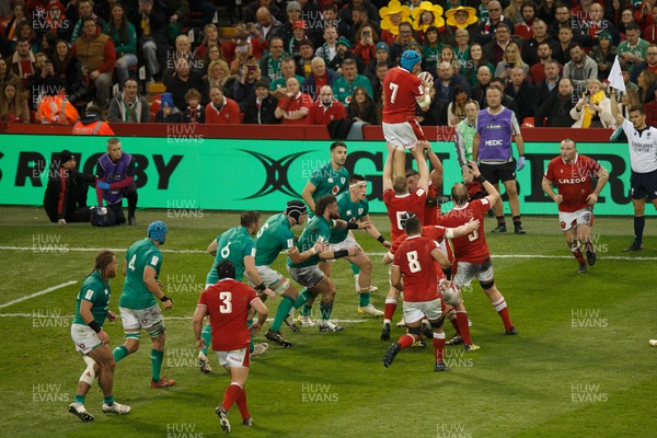 040223 - Wales v Ireland - Guinness Six Nations - Justin Tipuric of Wales wins a lineout