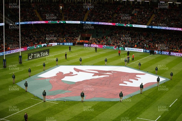 040223 - Wales v Ireland - Guinness Six Nations - Image of Welsh dragon on the pitch before the match