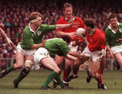 Wales v Ireland 060393