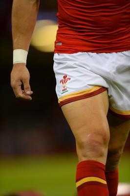 080815 - Wales v Ireland - Dove Men Series 2015 -Match Shorts and Socks