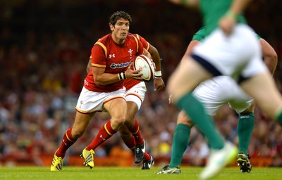 080815 - Wales v Ireland - Dove Men Series 2015 -James Hook of Wales