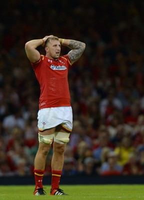 080815 - Wales v Ireland - Dove Men Series 2015 -Dominic Day of Wales