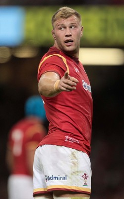 080815 - Wales v Ireland - Dove Mens Series - Ross Moriarty of Wales