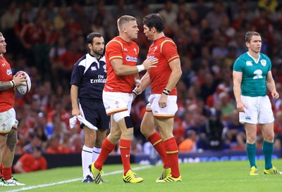 080815 - Wales v Ireland - Dove Men+Care Test - Gareth Anscombe(L) of Wales comes off the bench to make his debut