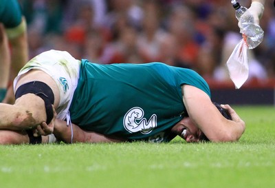 080815 - Wales v Ireland - Dove Men+Care Test - Tommy O'Donnell of Ireland is injured