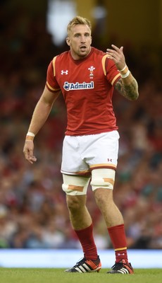 080815 - Wales v Ireland - Dove Men Series - Dominic Day of Wales 