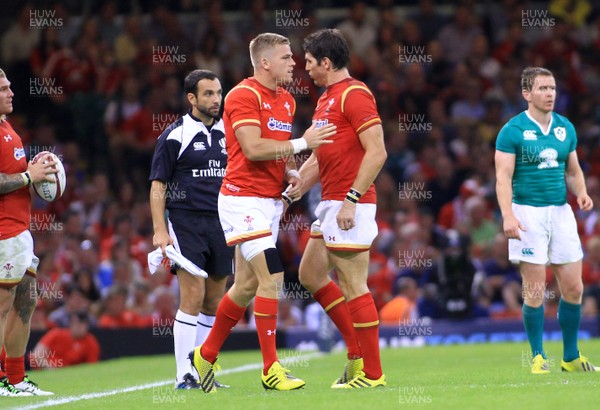 080815 - Wales v Ireland - Dove Men+Care Test - Gareth Anscombe(L) of Wales comes off the bench to make his debut