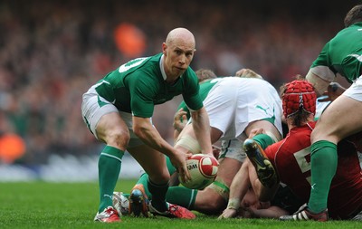 12.03.11 - Wales v Ireland - RBS Six Nations 2011 - Peter Stringer of Ireland. 