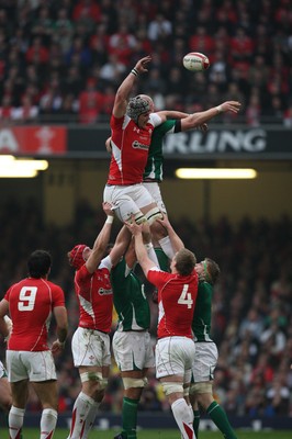 12.03.11... Wales v Ireland, RBS 6 Nations -  Wales' Dan Lydiate looks to line lineout ball  