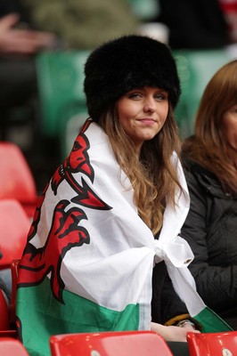 140315 - Wales v Ireland - RBS 6 Nations - Wales fans