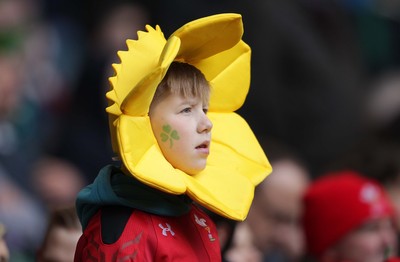 140315 - Wales v Ireland - RBS 6 Nations - Wales fans