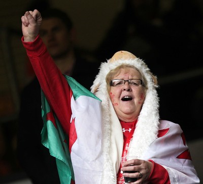 140315 - Wales v Ireland - RBS 6 Nations - Wales fans