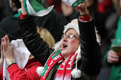 140315 - Wales v Ireland - RBS 6 Nations - Wales fans