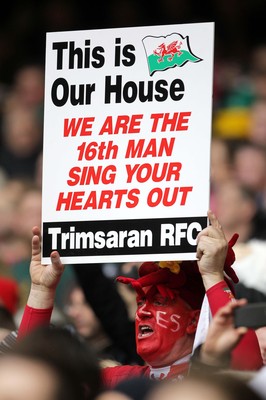 140315 - Wales v Ireland - RBS 6 Nations - Wales fans