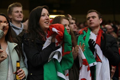 140315 - Wales v Ireland - RBS 6 Nations - Wales fans