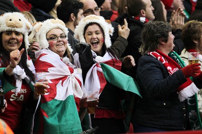 140315 - Wales v Ireland - RBS 6 Nations - Wales fans