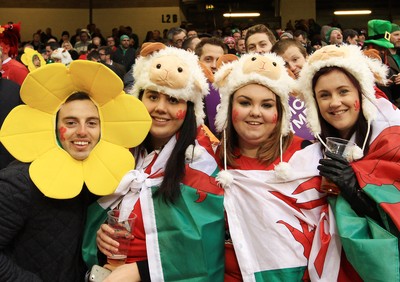 140315 - Wales v Ireland - RBS 6 Nations -Fans of Wales during the game