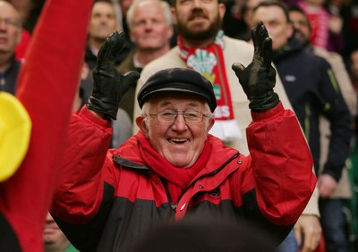 140315 - Wales v Ireland - RBS 6 Nations -Fans of Wales during the game