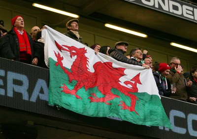 140315 - Wales v Ireland - RBS 6 Nations -Fans of Wales during the game