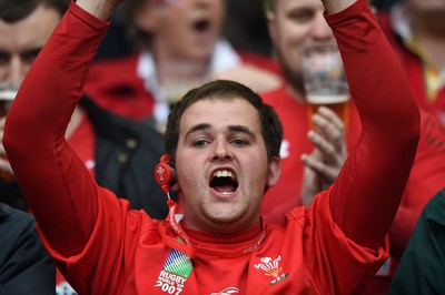 140315 - Wales v Ireland - RBS Six Nations - Welsh fan