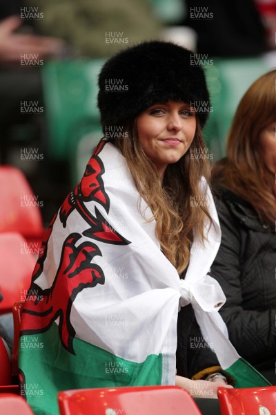 140315 - Wales v Ireland - RBS 6 Nations - Wales fans