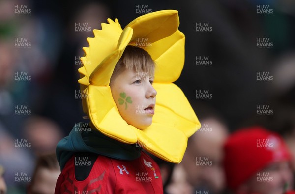 140315 - Wales v Ireland - RBS 6 Nations - Wales fans