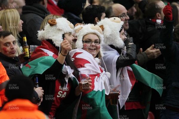 140315 - Wales v Ireland - RBS 6 Nations - Wales fans