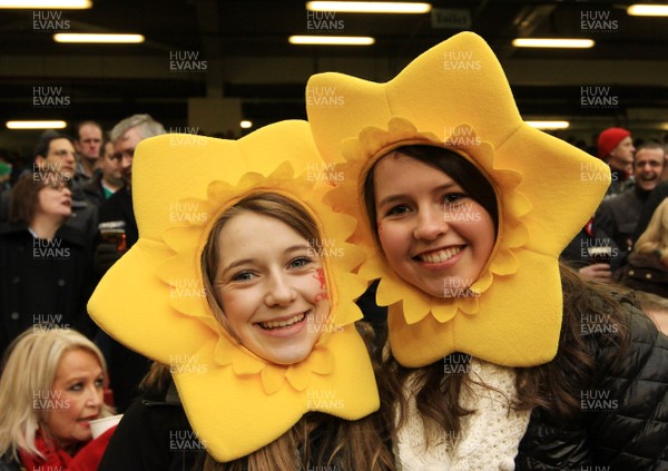 140315 - Wales v Ireland - RBS 6 Nations -Fans of Wales during the game