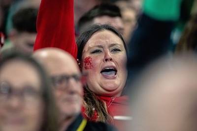 220225 - Wales v Ireland - Guinness Six Nations -  Wales fans during of the game