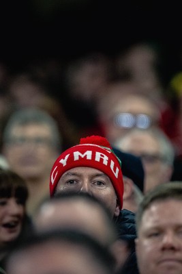 220225 - Wales v Ireland - Guinness Six Nations -  Wales fans during of the game