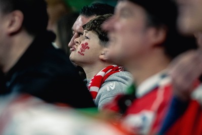 220225 - Wales v Ireland - Guinness Six Nations -  Wales fans during of the game