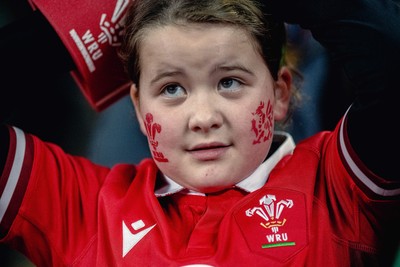 220225 - Wales v Ireland - Guinness Six Nations -  Wales fans during of the game