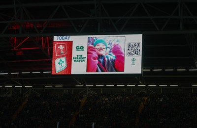 220225  Wales v Ireland, 2025 Guinness Six Nations - Go Compare fan cam engagement