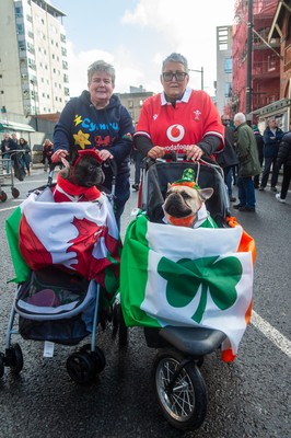 220225 - Wales v Ireland - Guinness Six Nations - Wales and Ireland fans mix in the street prior to the game