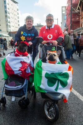 220225 - Wales v Ireland - Guinness Six Nations - Wales and Ireland fans mix in the street prior to the game