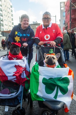 220225 - Wales v Ireland - Guinness Six Nations - Wales and Ireland fans mix in the street prior to the game