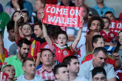 060915 - Wales v Israel - UEFA European Championship Qualifier - A young Wales fan
