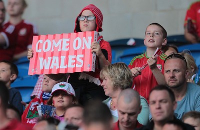 060915 - Wales v Israel - UEFA European Championship Qualifier - A young Wales fan