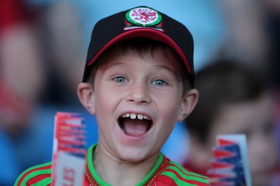 060915 - Wales v Israel - UEFA European Championship Qualifier - A young Wales fan