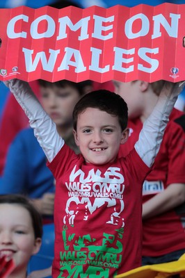 060915 - Wales v Israel - UEFA European Championship Qualifier - A young Wales fan