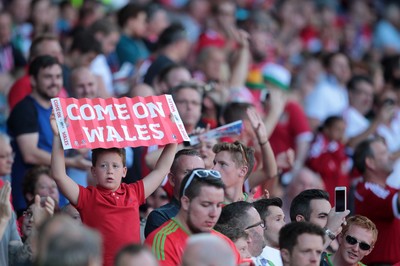 060915 - Wales v Israel - UEFA European Championship Qualifier - A young Wales fan