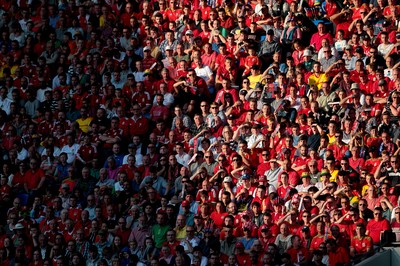 060915 - Wales v Israel - UEFA European Championship Qualifier - Wales fans enjoy the game