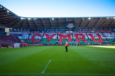 060915 - Wales v Israel, UEFA European Championship 2016 Qualifying match - Wales fans display their patriotism during the national anthem