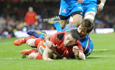 Wales v Italy 010214