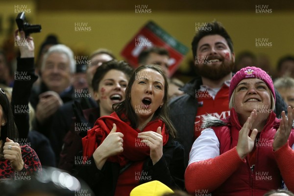 010220 - Wales v Italy - Guinness 6 Nations - Wales fans react to Wales scoring a try