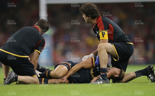 050915 - Wales v Italy, 2015 Dove Men Test - Rhys Webb of Wales shows the pain as he receives treatment for a leg injury