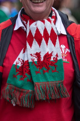 140326 - Wales v Italy - Guinness Six Nations - Fans Ahead of the game 