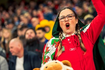 140326 - Wales v Italy - Guinness Six Nations - Fans During the Game