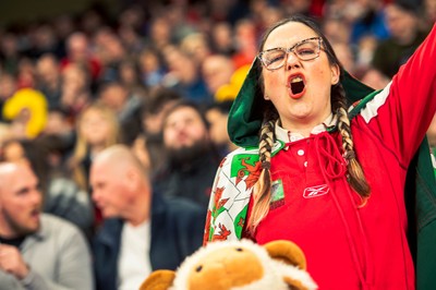 140326 - Wales v Italy - Guinness Six Nations - Fans During the Game